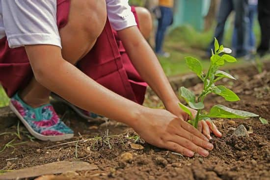 planting-1898946_1280